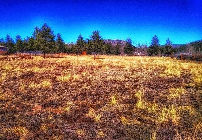 Stonewall Meadows Lot for Sale in Stonewall, Colorado
