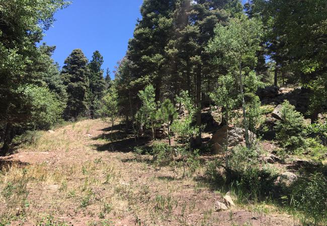 Vacant Land for sale in Cuchara, Colorado