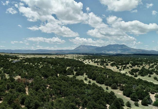 3.9 acre Lot for Sale in Navajo Ranch, Walsenburg, CO
