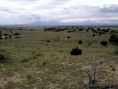 Ghost River Ranch Lot for Sale in Walsenburg, CO