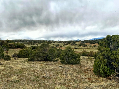 Home for Sale at 2.5 acre getaway in Rio Cucharas Sub in Walsenburg, CO