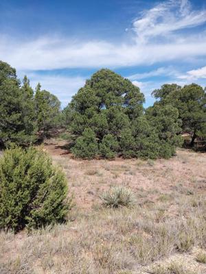 Two Navajo Ranch Resorts Lots Lot for Sale in Gardner