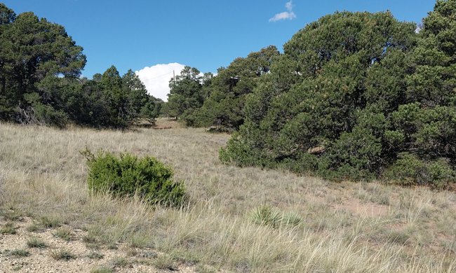 Two Navajo Ranch Resorts Lots Lot for Sale in Gardner