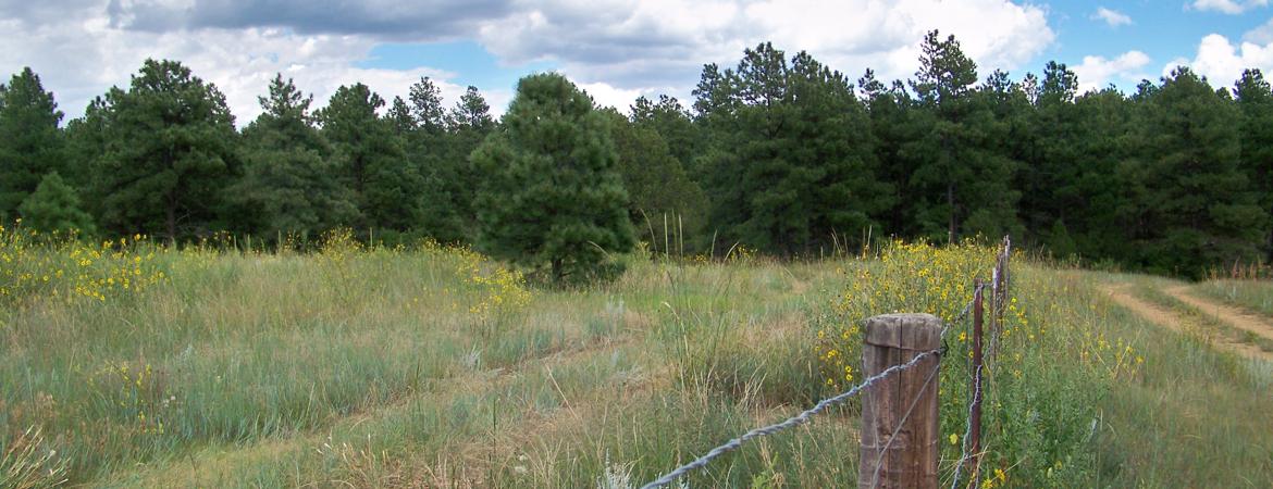Vacant Land with mobile home on 5 acres for sale, for residential, hunting or vacation for sale  in Weston, Colorado
