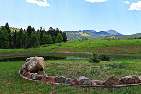 Lakeside Mountain Retreat for Sale in La Veta, Colorado
